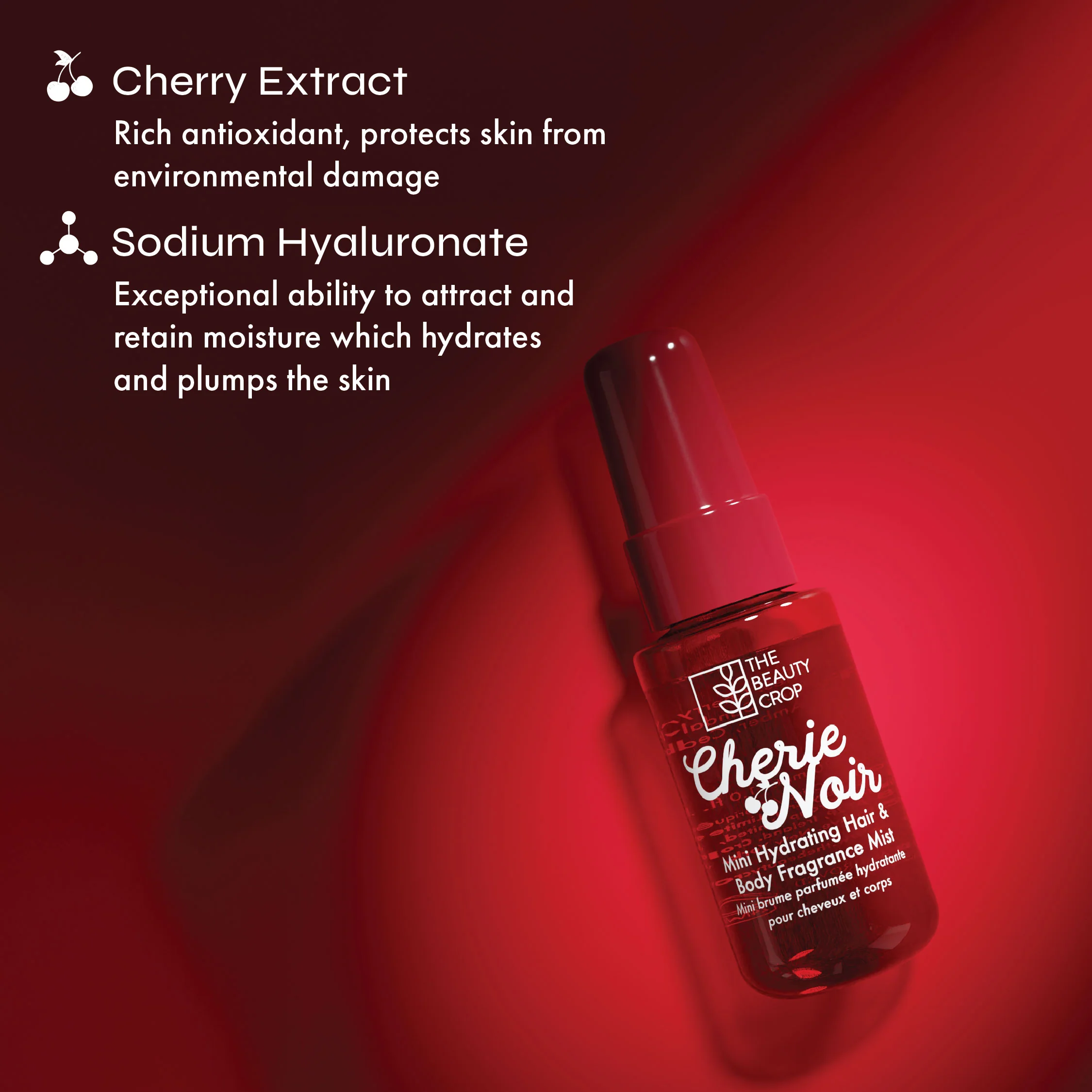 Cherie Noir Mini Hydrating Body & Fragrance Set - Image 3